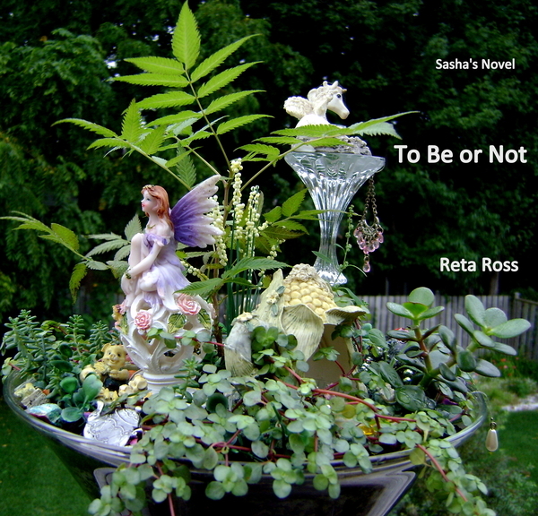 Sasha's Novel Cover
